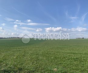 Rolna działka w Olszanicy