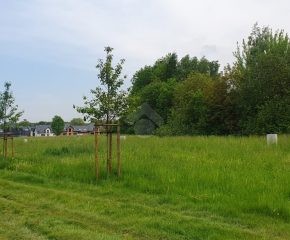 Działka z pozwoleniem na budowę- Przegorzały