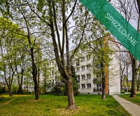  2 pokoje| Zieleń| Po remoncie| Świetna lokalizacja