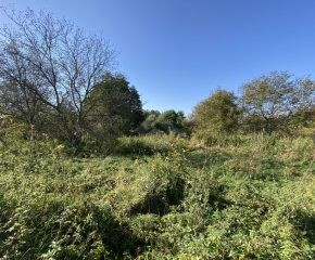 DZIAŁKA BUDOWLANA BIELANY 22AR