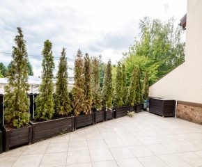 Zielonki - ul. Wiarusa