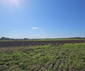 Kraków –  Nowa Huta –  ul. Narcyza Wiatra – 61 arów 