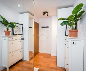 Zielonki – okolice ulicy Łokietka