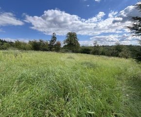 Kraków – Swoszowice - działka budowlana - 2217 m²