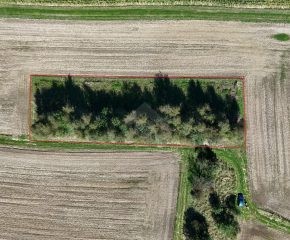 Gmina Czernichów, Rybna – 17 ar – działka rolna