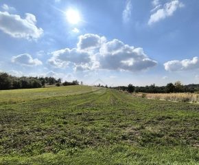 Wierzchowie - ul. Łąkowa