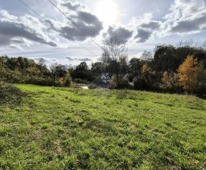 Januszowice – okolice ul. Krakowskiej 