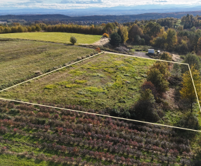 Gmina Czernichów, Rybna – 53 ary – działka rolna z możliwością zabudowy zagrodowej