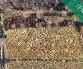 Gmina Czernichów, Rybna – 53 ary – działka rolna z możliwością zabudowy zagrodowej