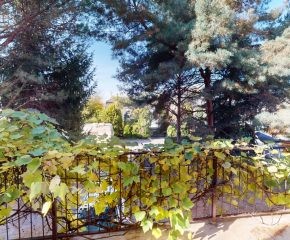 Przestronny dom z ogrodem i garażem – Żerniki, ul. Rezedowa