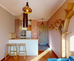 2 Pokoje | Do wynajęcia | Centrum