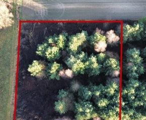 gm. Oleśnica - Ostrowina