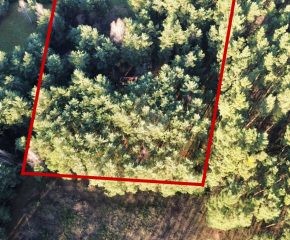 gm. Oleśnica - Ostrowina