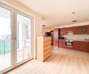 Jasne 3 pokojowe mieszkanie - RUCZAJ - ul. Pszczelna