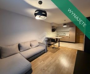 Mieszkanie do wynajęcia w wysokim standardzie