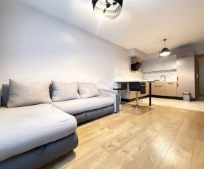 Mieszkanie do wynajęcia w wysokim standardzie