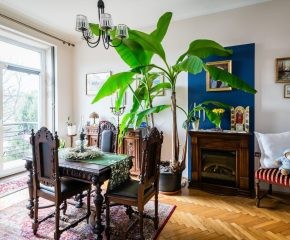 Kraków – Stare Dębniki – ul. Zagrody 