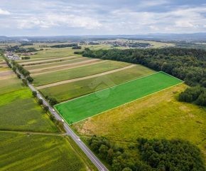 Czułówek - działka o powierzchni 2,6 ha