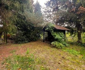 | Działka ROD | Pod Wierzbami | 3,79 ara| z altaną |