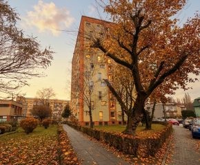 Urokliwa kawalerka z komórką lokatorską