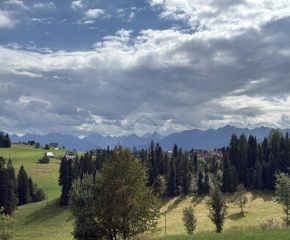 Działka z widokiem na Tatry | 3873 m² | Leśnica